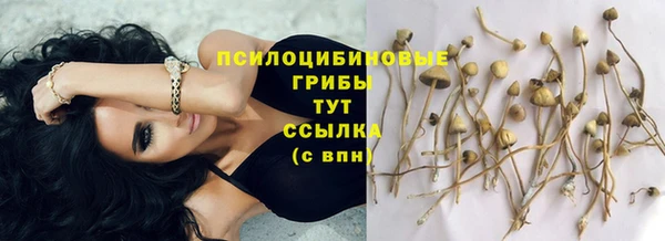 герыч Новокубанск