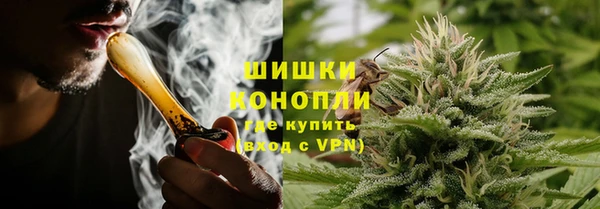 индика Северо-Курильск