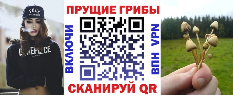 Галлюциногенные грибы ЛСД Сергач